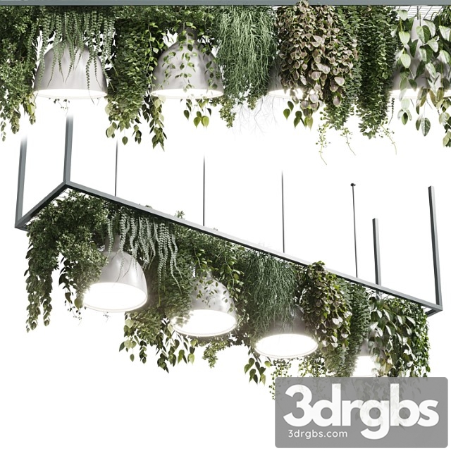 Pot Light Pendant Plant Light Hanging 08 3dsmax Download - thumbnail 1