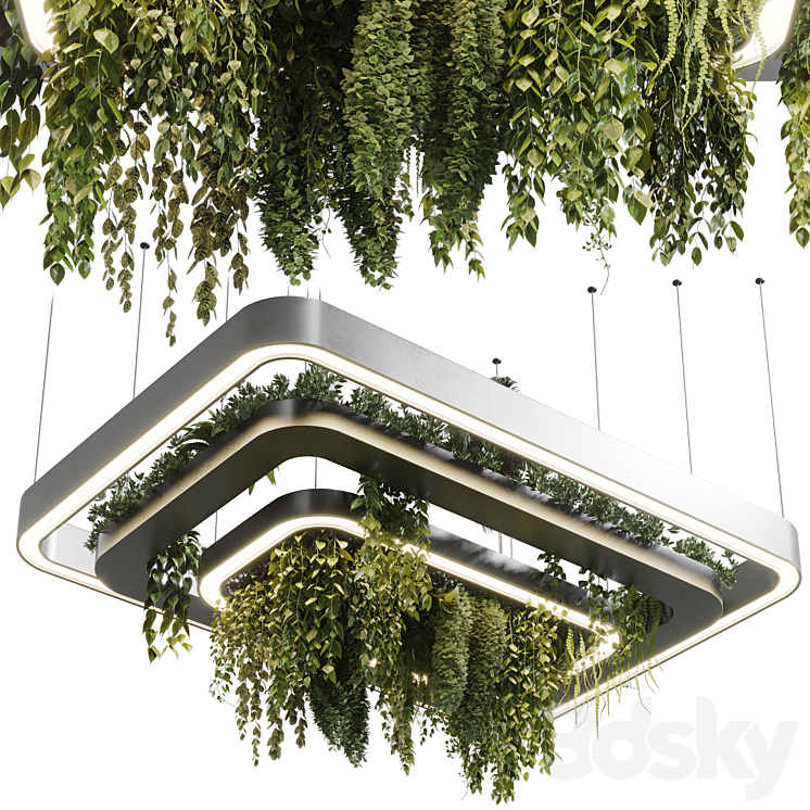 pot light pendant plant light hanging 11 3DS Max Model - thumbnail 1