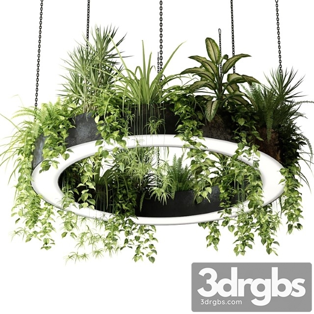 Ring lamp planter with plants - thumbnail 1