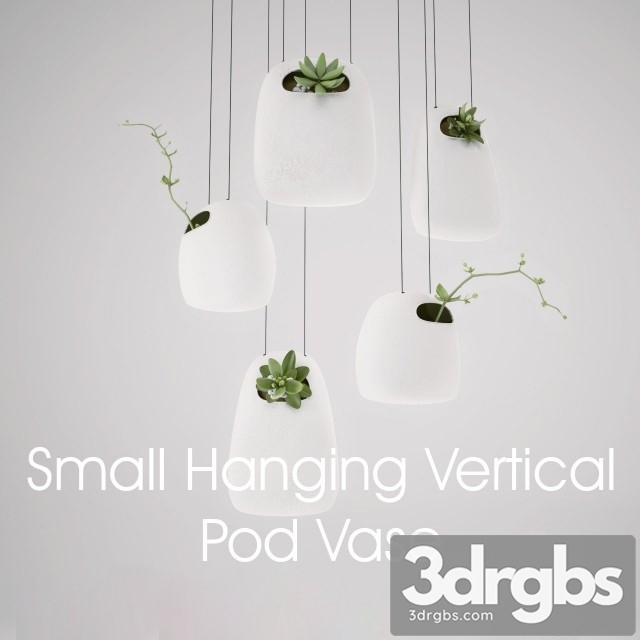 Small Hanging Vertical Pod Vase 3dsmax Download - thumbnail 1