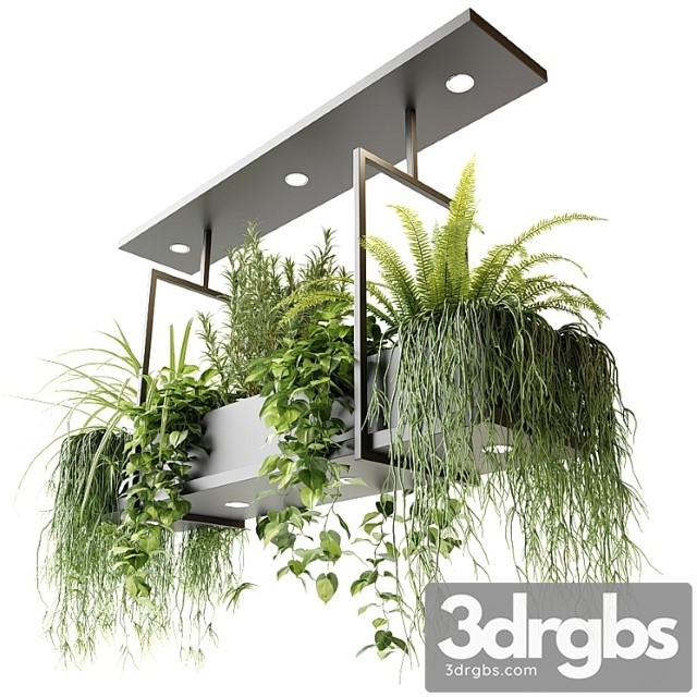 Suspended luminaire with plants oslo 3dsmax Download - thumbnail 1