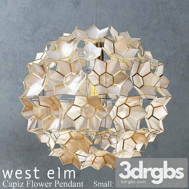 West Elm Capiz Flower Pendant 3dsmax Download - thumbnail 1