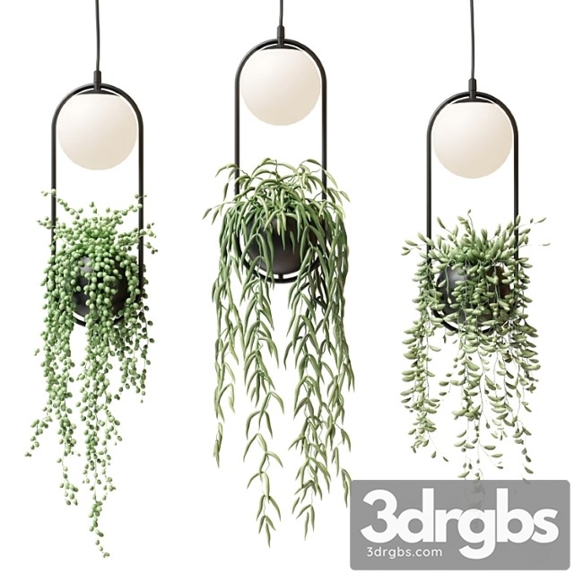 Wren – sky garden planter light - thumbnail 1