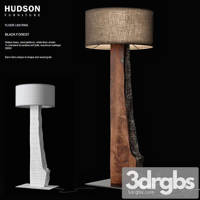 Hudson Black Forest 3dsmax Download - thumbnail 1