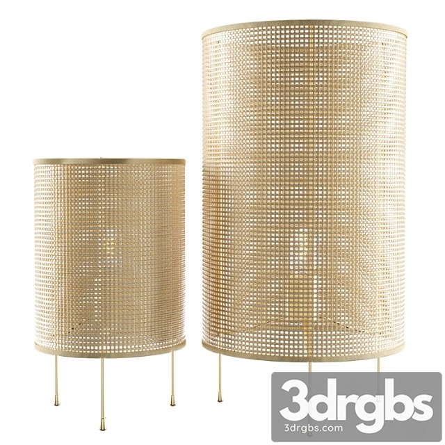 Zara home rattan lamp 3dsmax Download - thumbnail 1