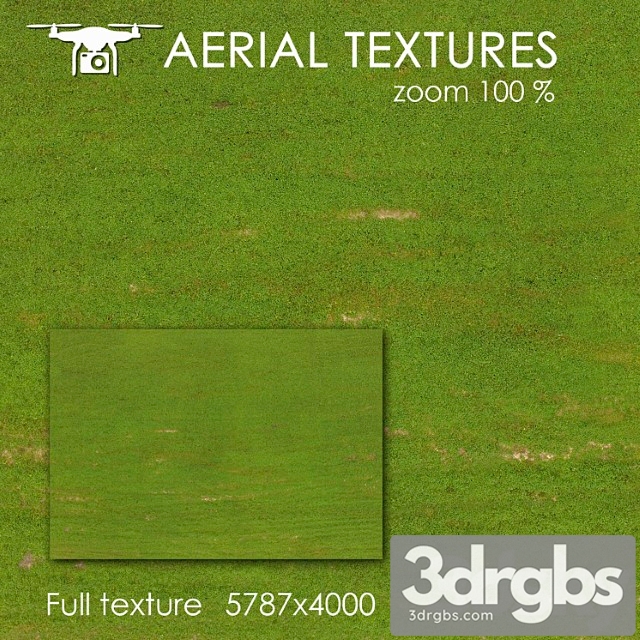 Field with grass 128 3dsmax Download - thumbnail 1