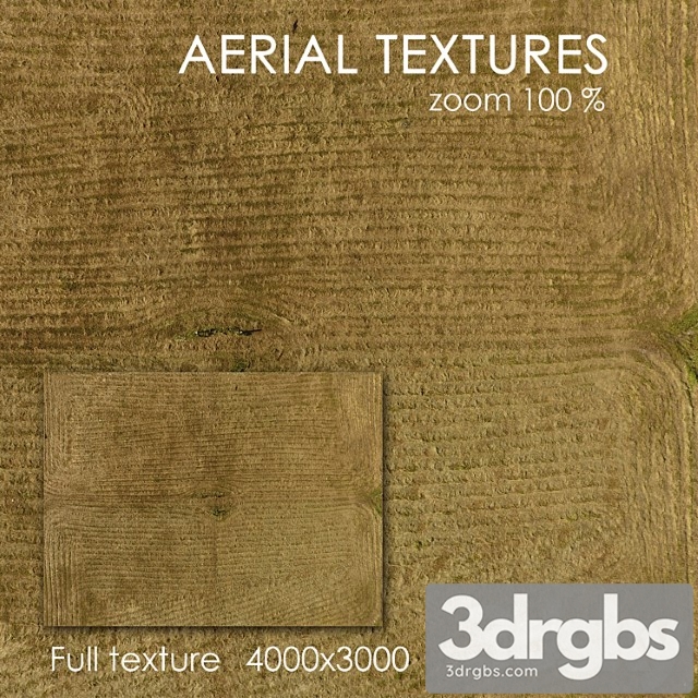 Field with grass 3dsmax Download - thumbnail 1