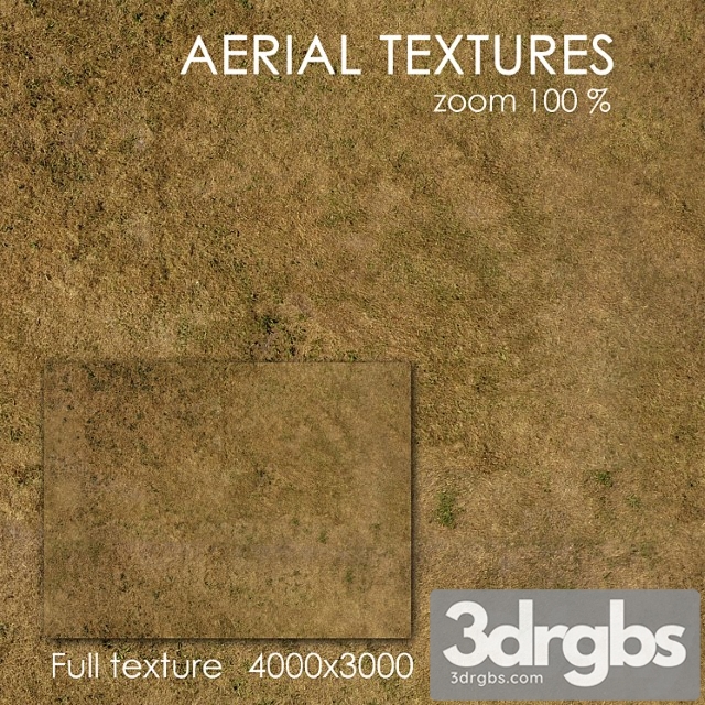 Grass 53 3dsmax Download - thumbnail 1