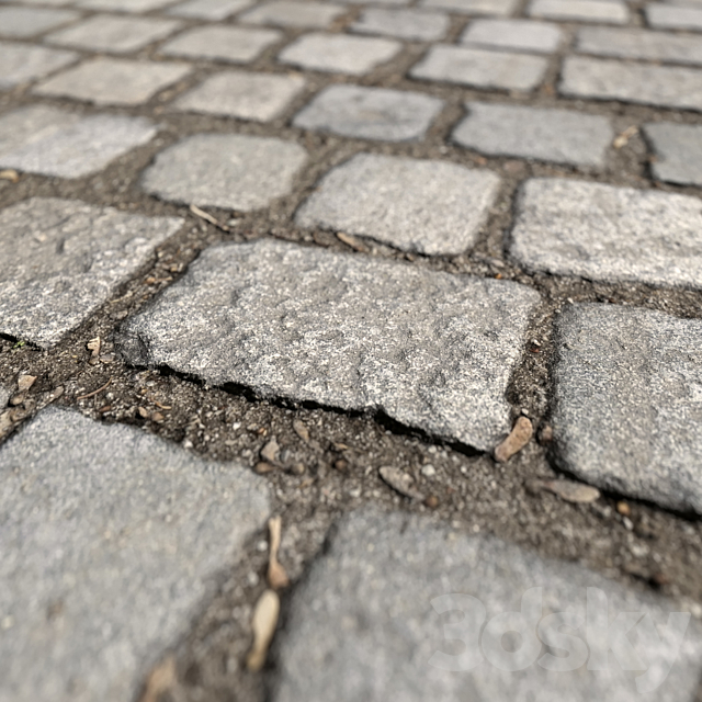 Cobblestones_1 3ds Max - thumbnail 2