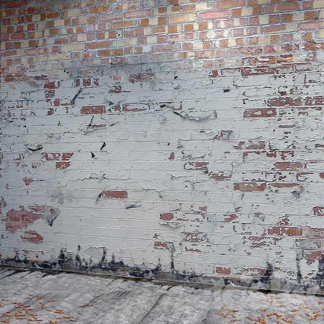 Old Bricks 3DS Max Model - thumbnail 1