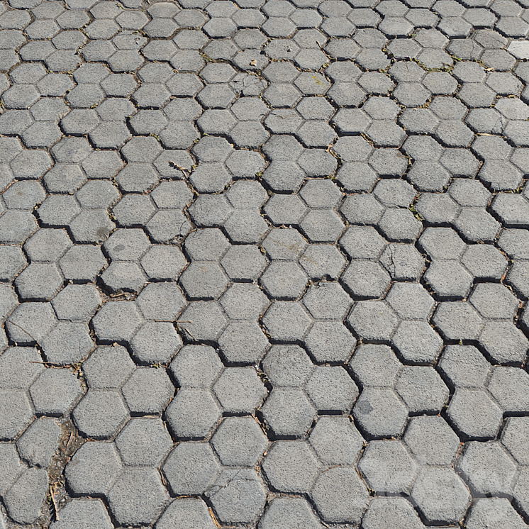 Pavement tiles_7 3DS Max - thumbnail 1