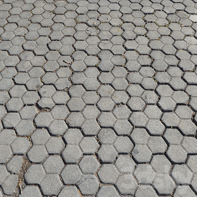 Pavement tiles_7 3DSMax File - thumbnail 1