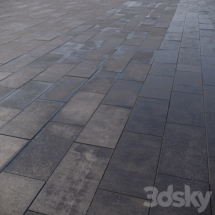 Paving slabs 600×300 mm 3DS Max Model - thumbnail 1