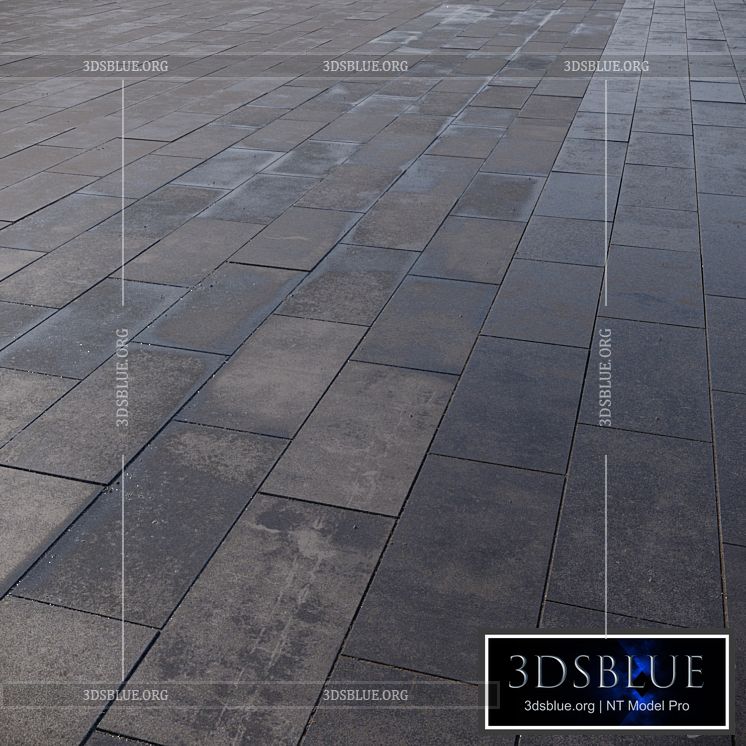 Paving slabs 600×300 mm 3DS Max - thumbnail 3