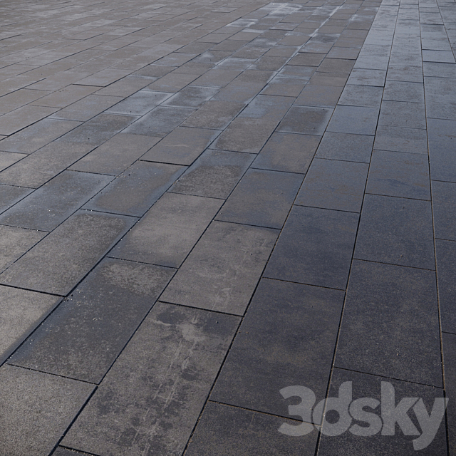 Paving slabs 600×300 mm 3DSMax File - thumbnail 1