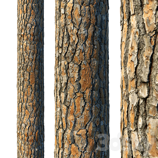 4k Pine Bark Material 03 3ds Max - thumbnail 1