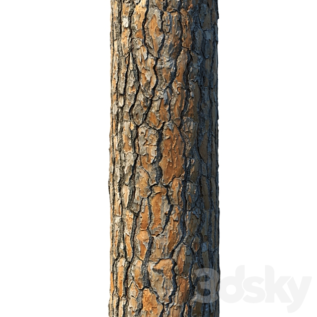 4k Pine Bark Material 03 3ds Max - thumbnail 2