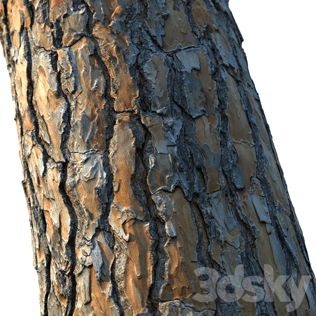 4k Pine Bark Material 03 3ds Max - thumbnail 3