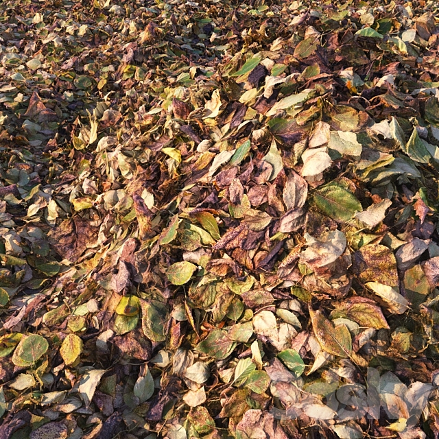 Autumn foliage (material) 3ds Max - thumbnail 1