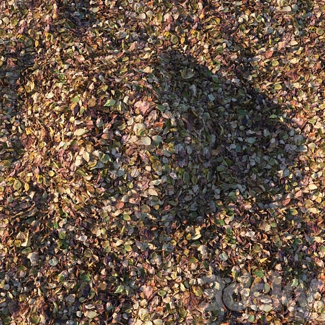 Autumn foliage (material) 3ds Max - thumbnail 2