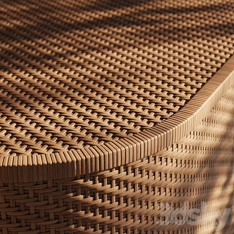 Rattan 3DS Max Model - thumbnail 2