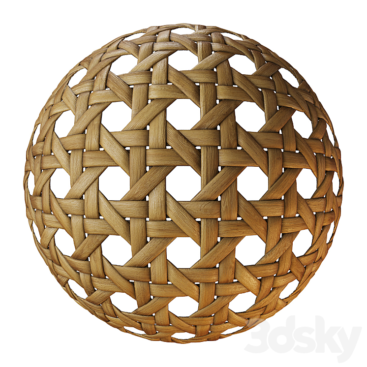 Rattan canvas 3DS Max Model - thumbnail 2