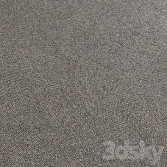 Carpet covering 132 3ds Max - thumbnail 3