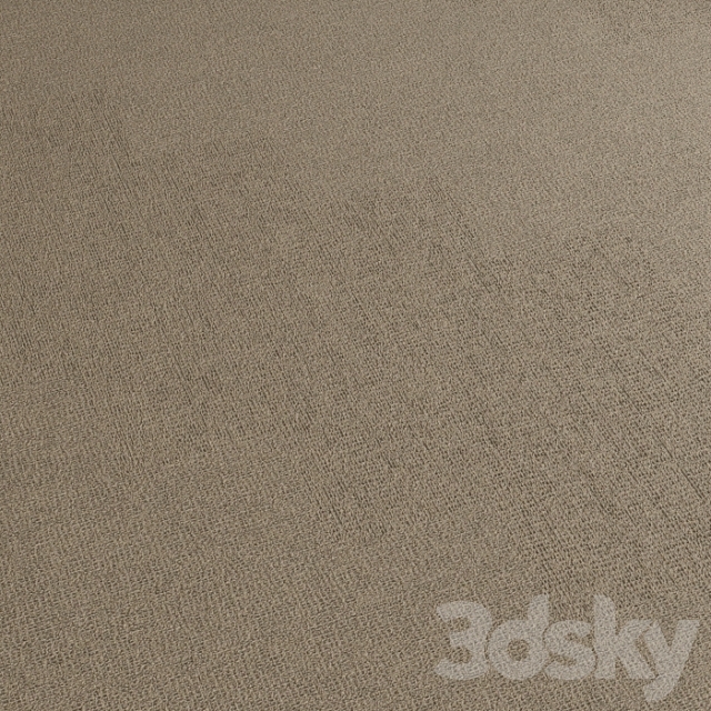 Carpet covering 196 3ds Max - thumbnail 3