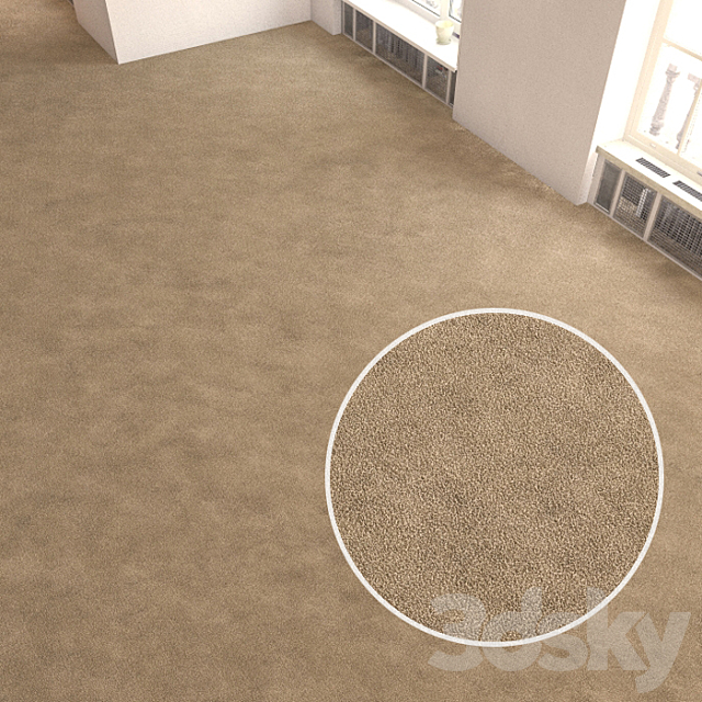 Carpet covering 256 3ds Max - thumbnail 1