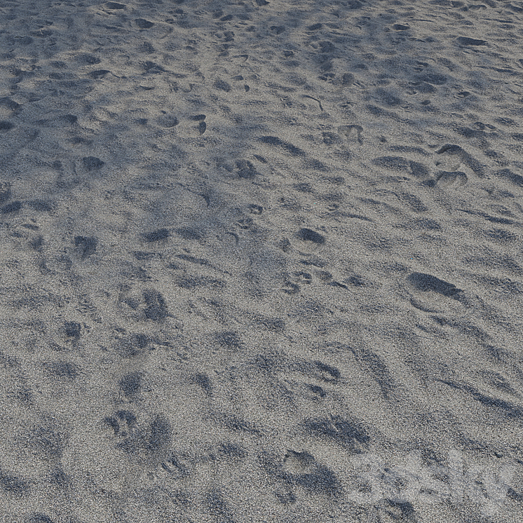 Sand Beach Gray 7 3DS Max - thumbnail 1