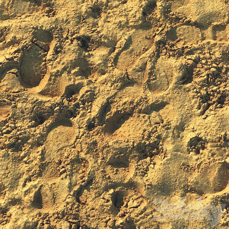 Wet sand material with footprints 3DS Max - thumbnail 2