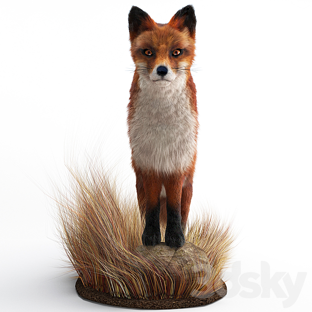 A Fox 3DS Max Model - thumbnail 2