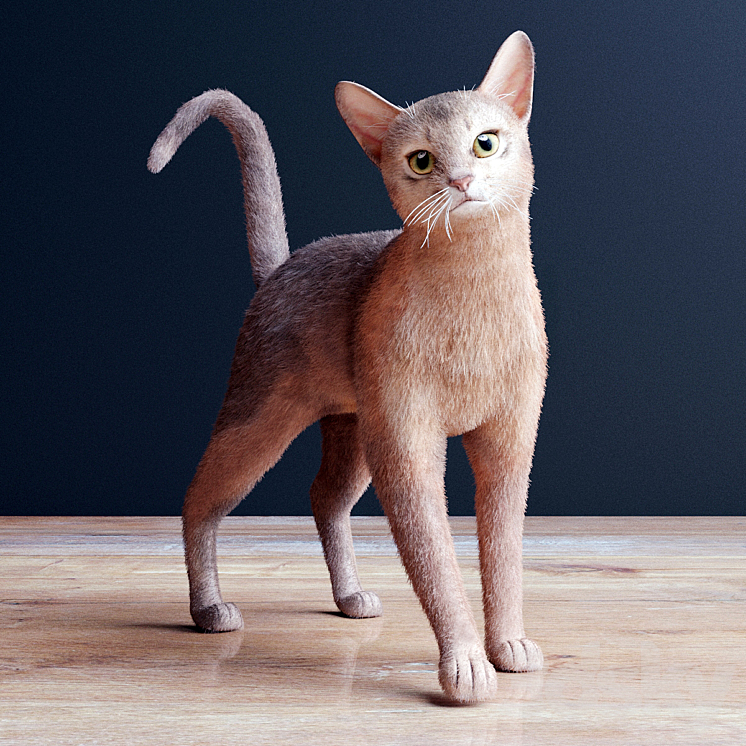 Abyssinian cat 3DS Max - thumbnail 2