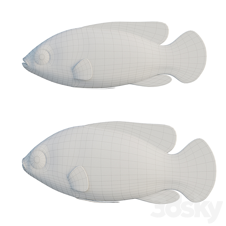 African jewel fish 3DS Max Model - thumbnail 2