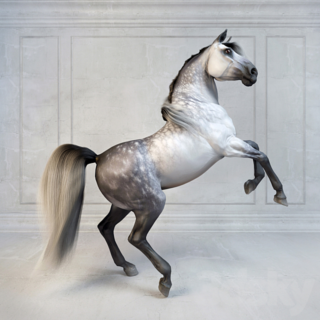Andalusian Stallion. The Spanish horse. 3DSMax File - thumbnail 1