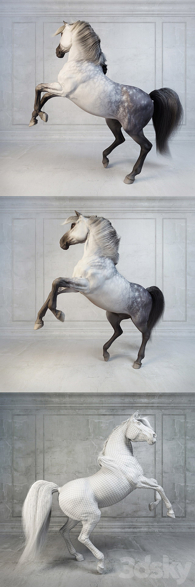 Andalusian Stallion. The Spanish horse. 3DSMax File - thumbnail 2