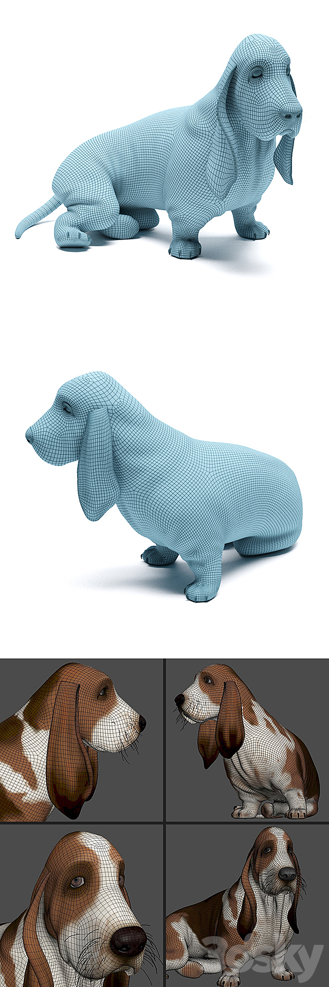 Basset Hound 3ds Max - thumbnail 3