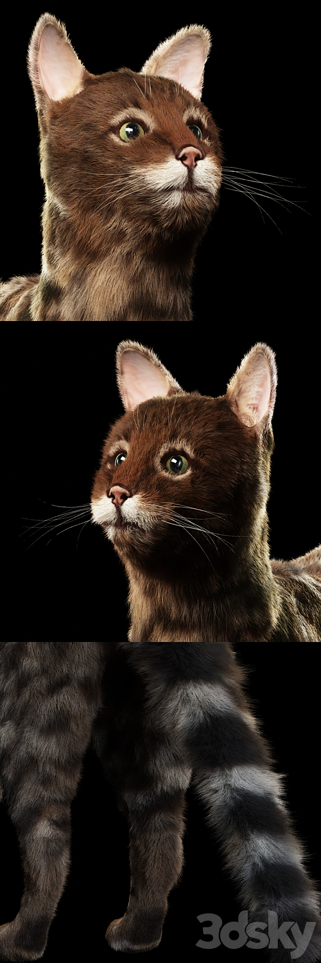 Bengal cat 3DS Max Model - thumbnail 2