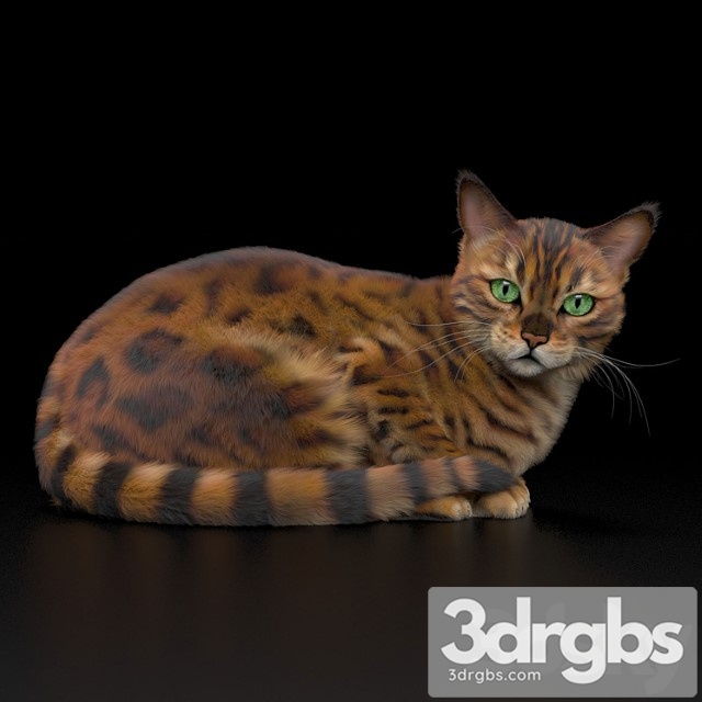 Bengal Cat 3dsmax Download - thumbnail 1