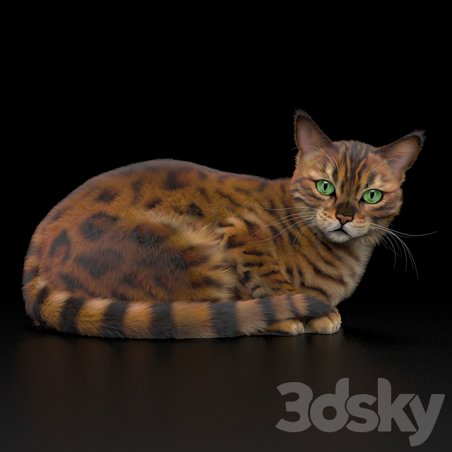 BENGAL CAT 3DSMax File - thumbnail 1