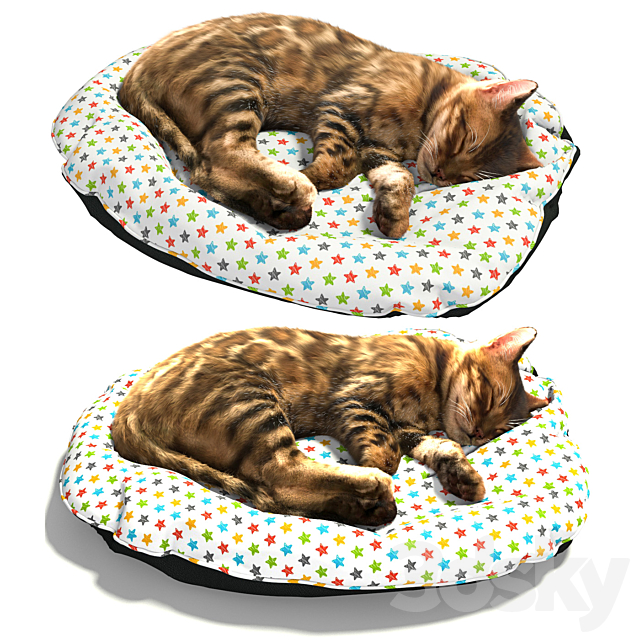 Bengal kitten 3ds Max - thumbnail 1