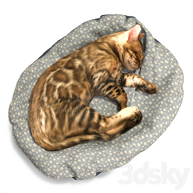 Bengal kitten 3ds Max - thumbnail 2