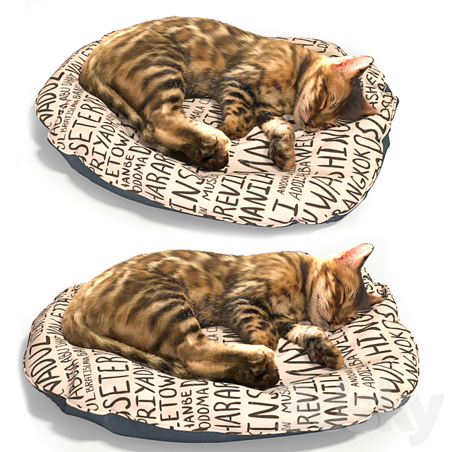 Bengal kitten 3ds Max - thumbnail 3