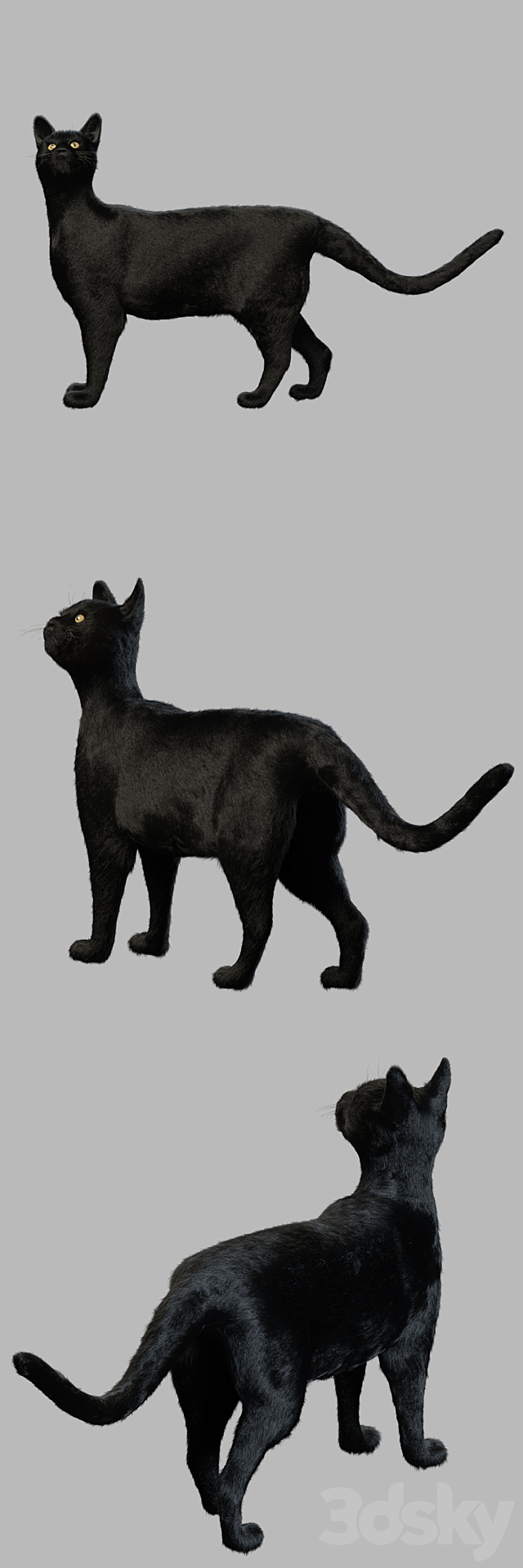 Black Cat 3DS Max Model - thumbnail 2