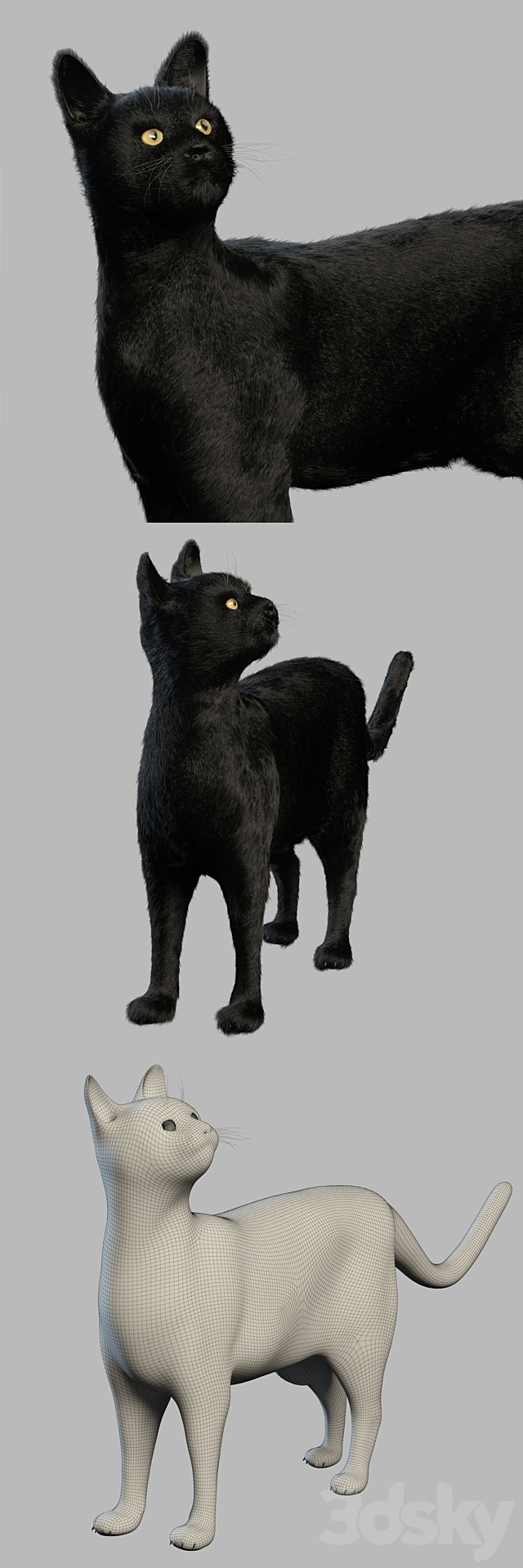 Black Cat 3DS Max Model - thumbnail 3