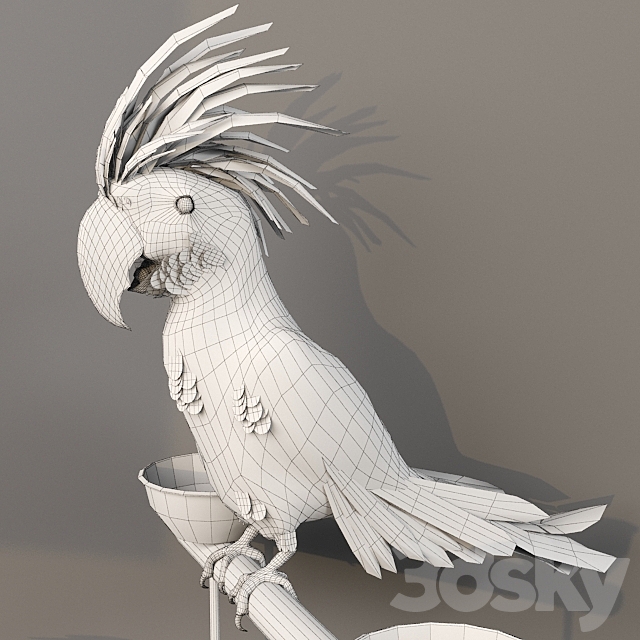 Black Cockatoo. Probosciger aterrimus 3DS Max Model - thumbnail 3