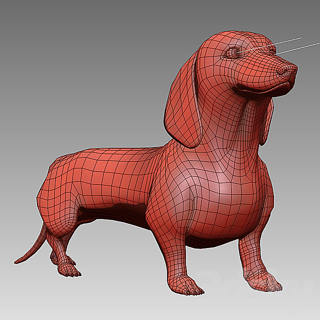 Black dachshund 3DS Max Model - thumbnail 3