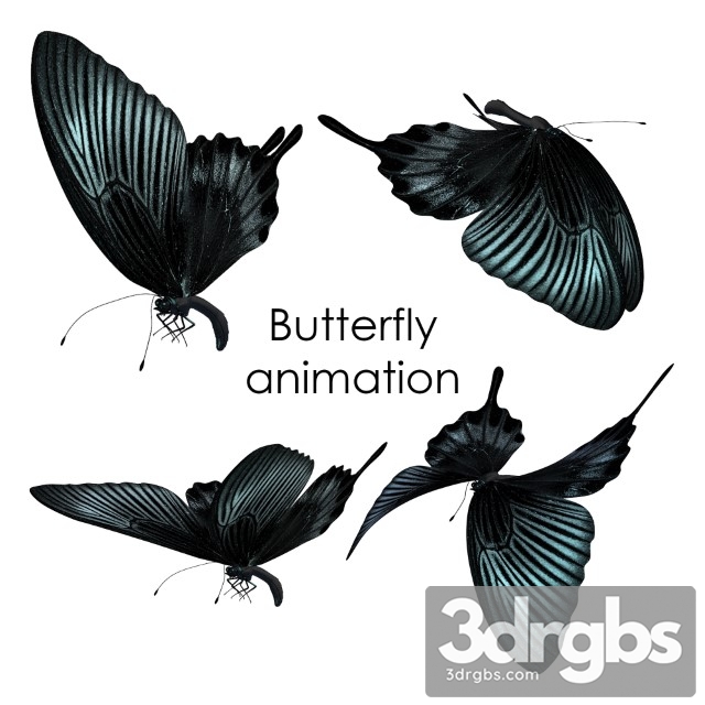 Butterfly Animation 3dsmax Download - thumbnail 1