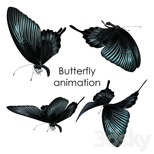 Butterfly animation 3DSMax File - thumbnail 1