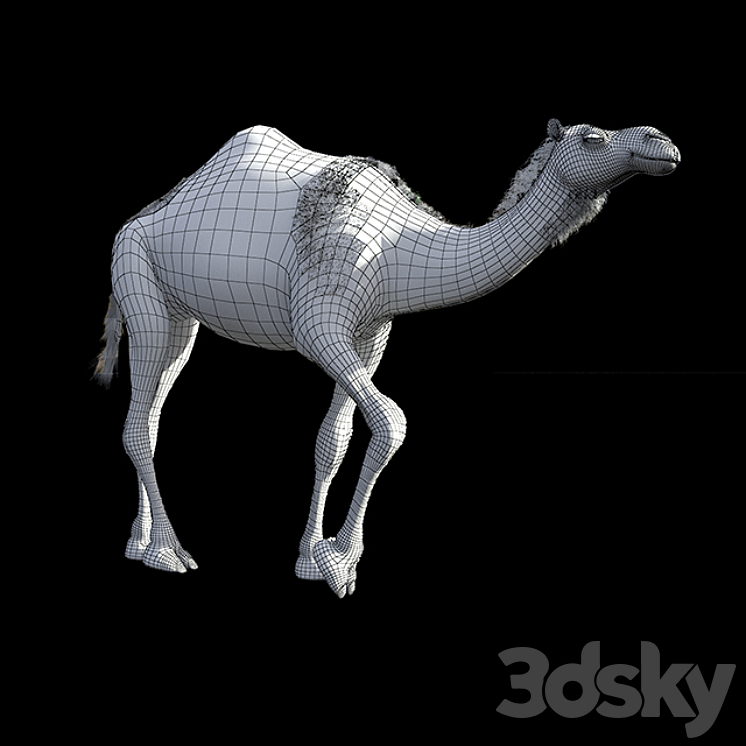 Camel 3DS Max - thumbnail 2